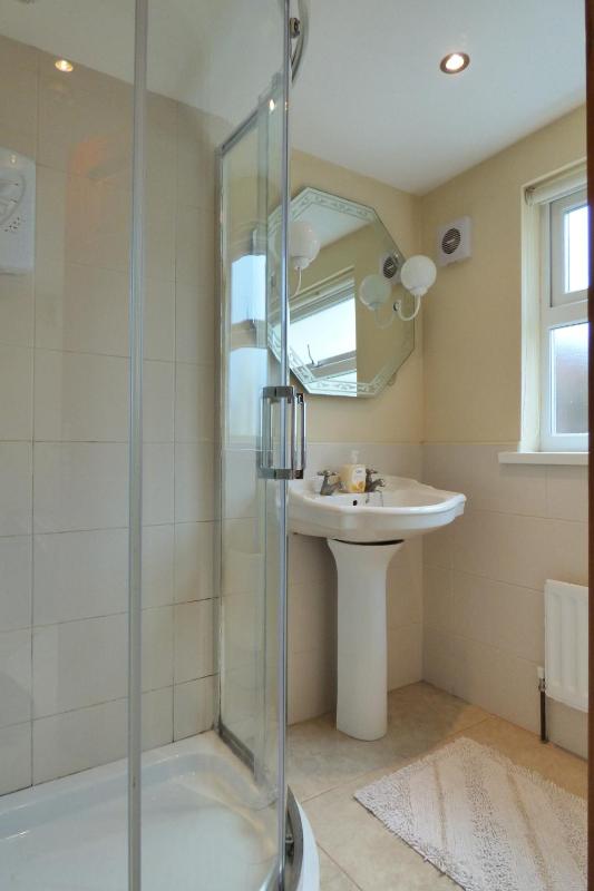 One-Bedroom Apartment image 4