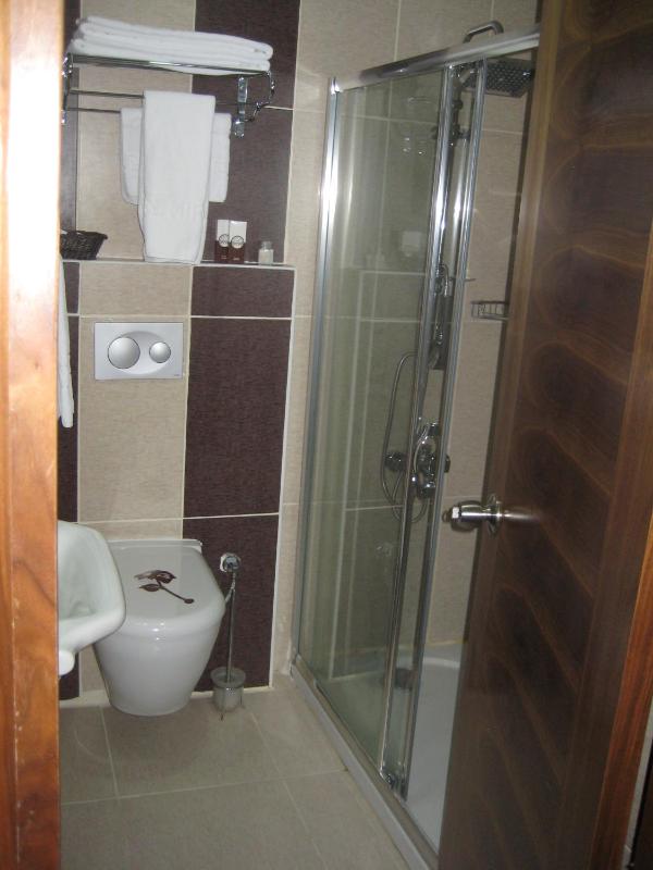 Standard Double or Twin Room image 3