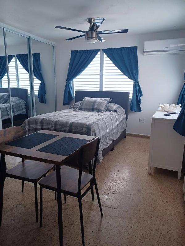 One-Bedroom Apartment image 3