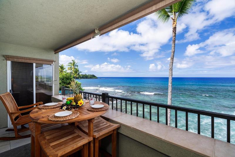 Banyan Tree 301: Oceanfront 2/2 Remodeled with AC - image 17
