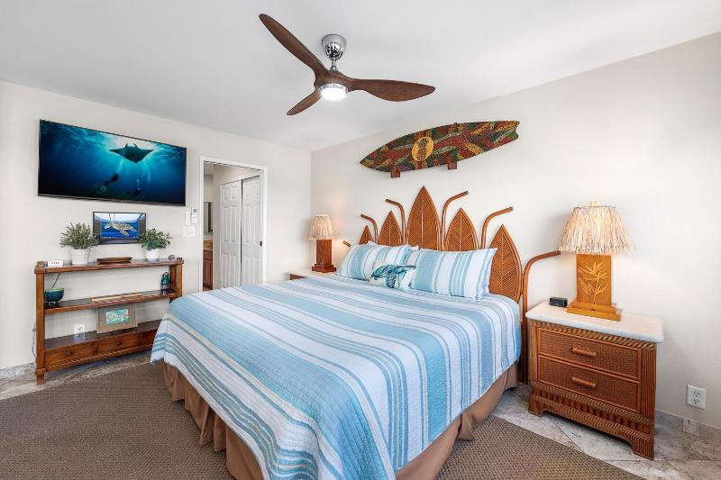 Banyan Tree 301: Oceanfront 2/2 Remodeled with AC - image 4