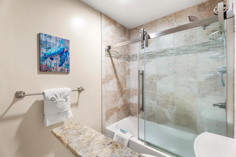 Banyan Tree 301: Oceanfront 2/2 Remodeled with AC - image 14
