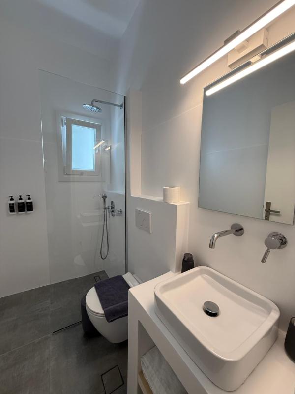 Deluxe Apartment image 3
