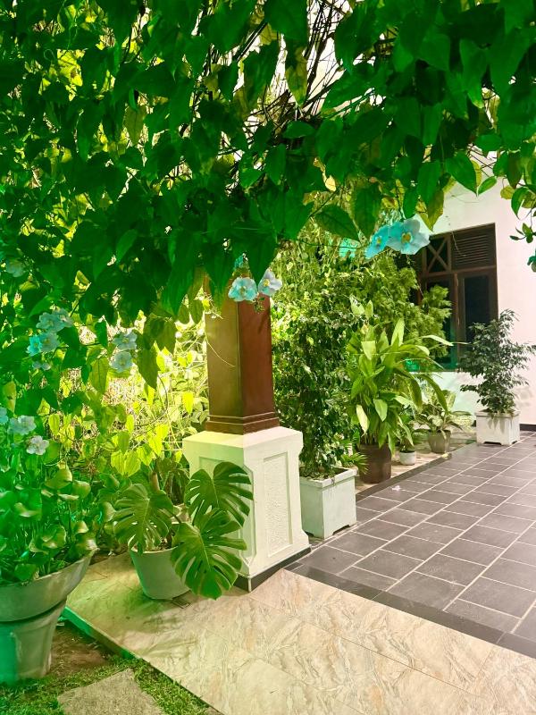 TROPICANA NEGOMBO boutique hotel - image 25