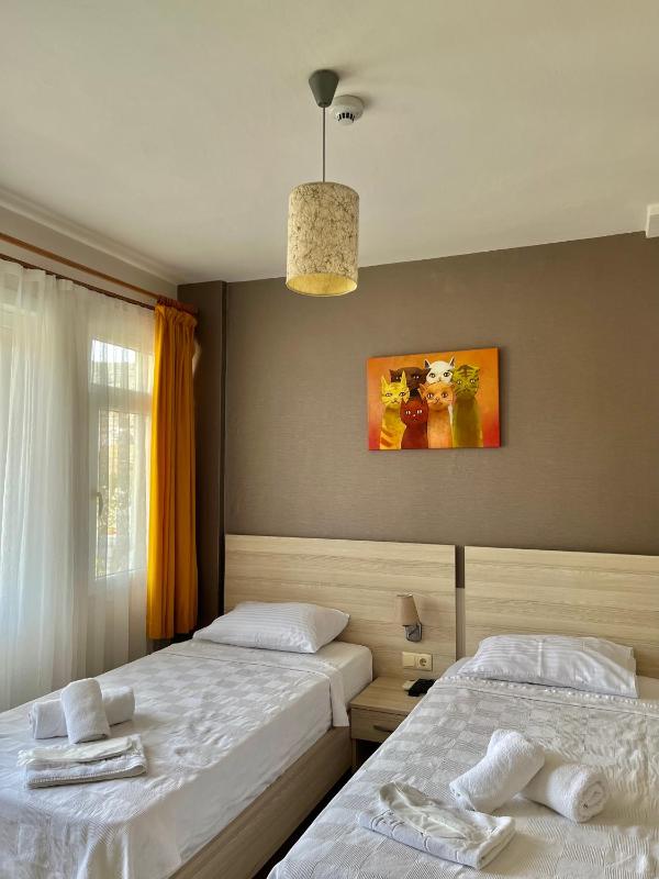 Standard Twin Room image 2