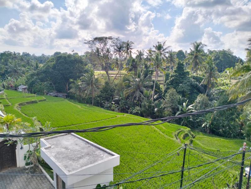 Pondok Taman Asri Homestay - image 8