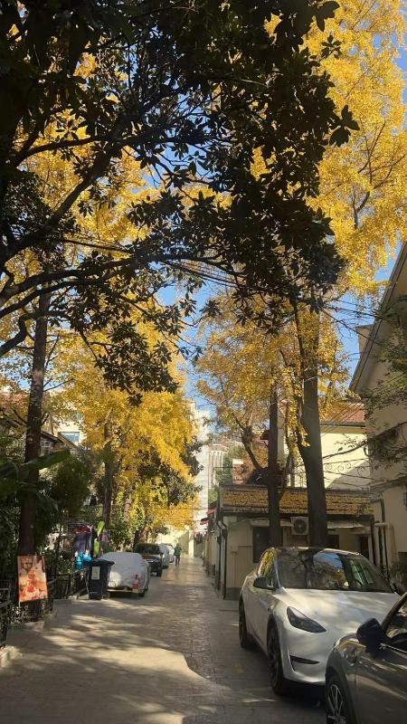 FFC sweet home on Shaanxi Road - image 8