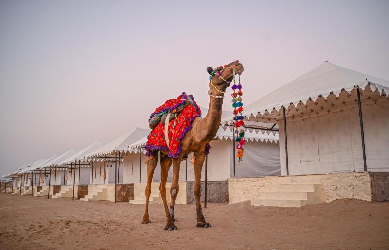 The Carvaans Resort-Luxury Desert Camp Jaisalmer - image 13
