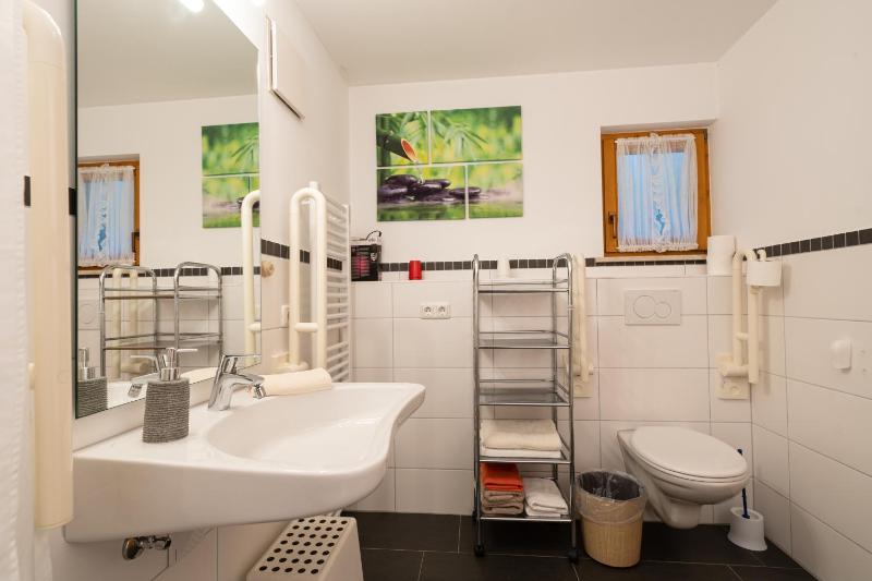 One-Bedroom Apartment with Terrace image 4