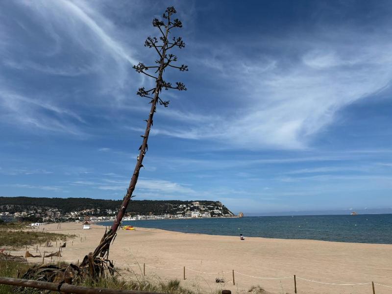 Apartamento Calella 4: Cerca del Mar Mascotas Bienvenidas - ES-323-80 - image 2