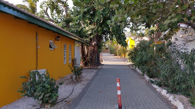Dushi Boho - image 8