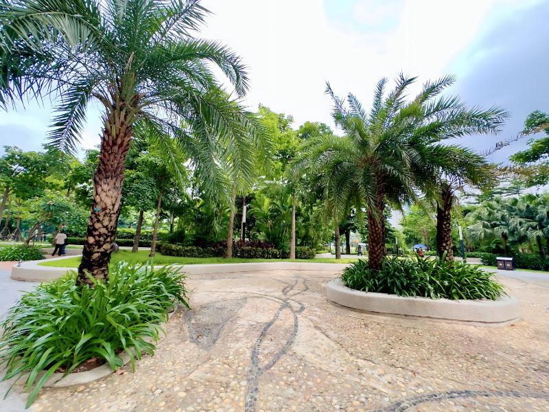 Jing Capital Stay - image 16