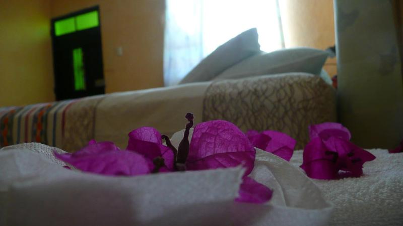 Maison Bougainvillea - image 16