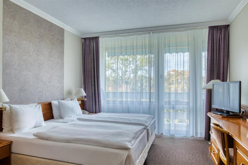 Suite with Wellness and Fitness Access image 1