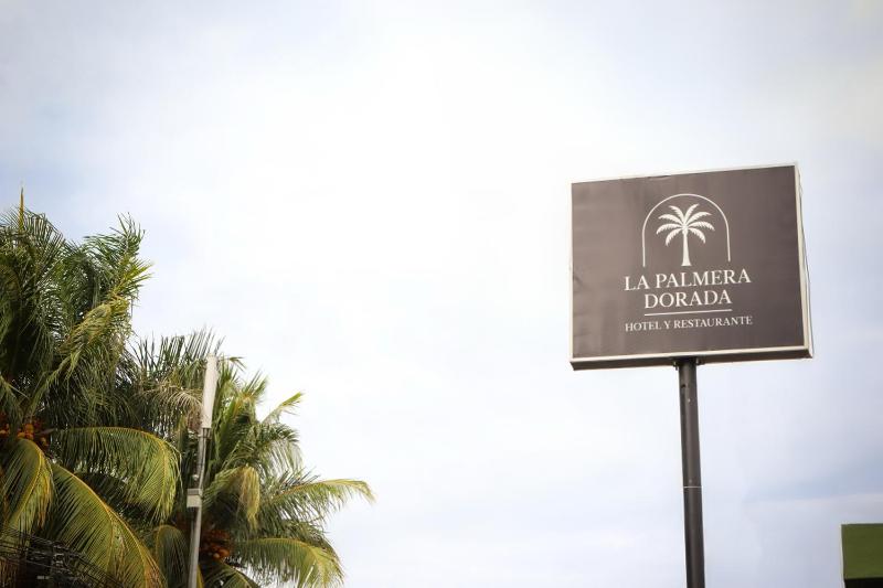 La Palmera Dorada - image 4