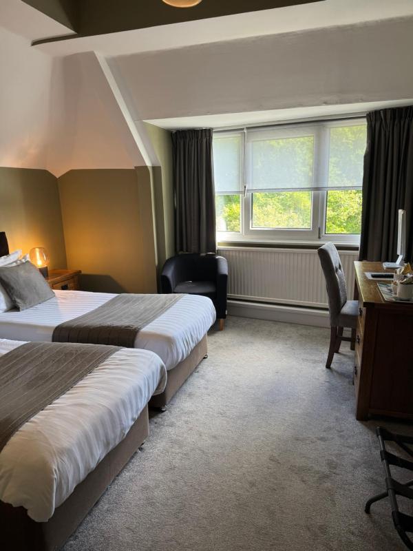 Standard Twin Room image 3