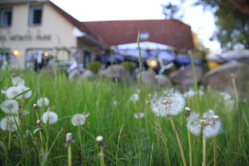 Hotel Müritz-Park - image 33