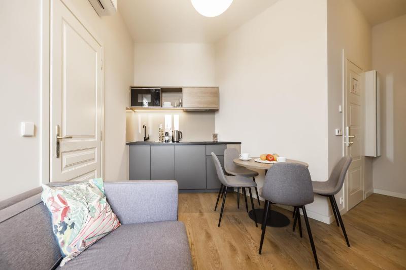 One-Bedroom Apartment image 4