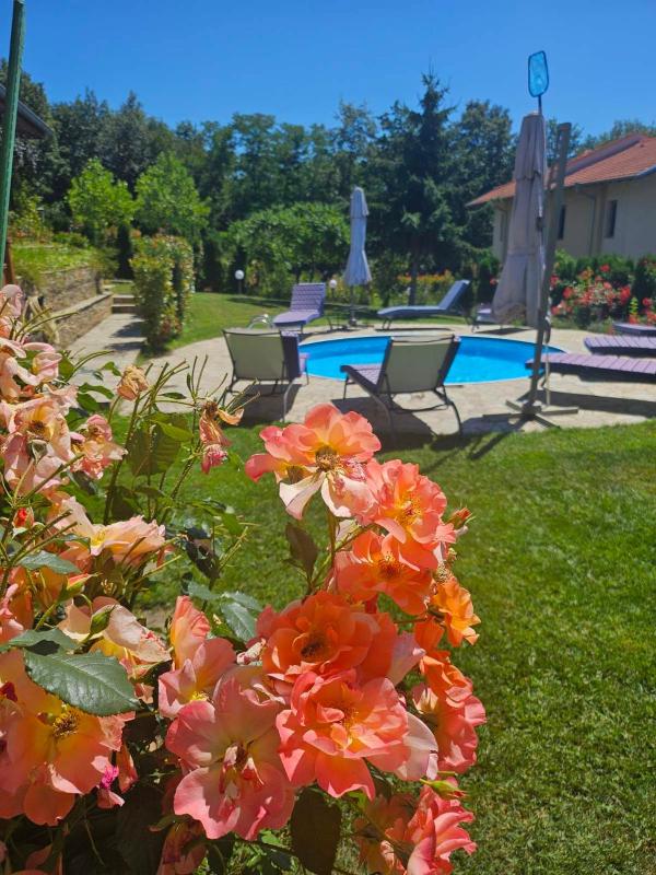 Holiday Home image 2
