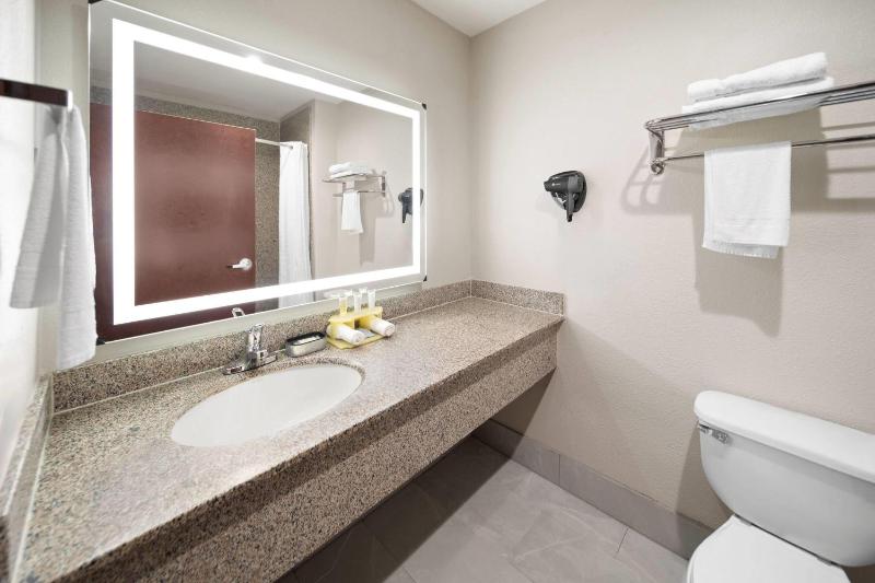Days Inn & Suites by Wyndham Sam Houston Tollway - image 16