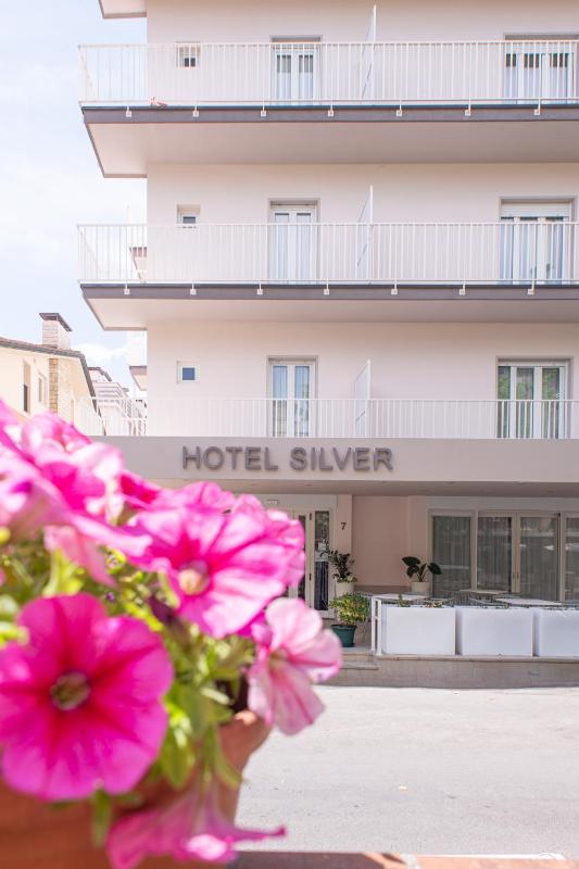 Hotel Silver - image 26