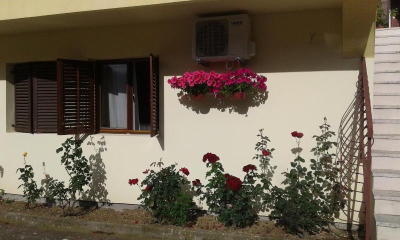Studio Apartment image 4
