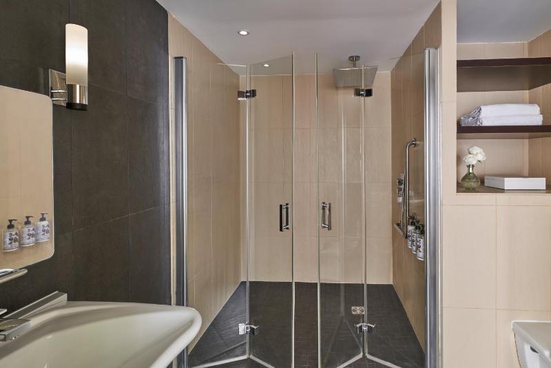 Deluxe Suite with Terrace image 4