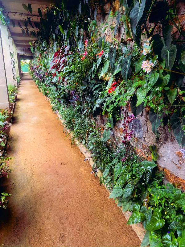 Ambiente Guest House - image 45