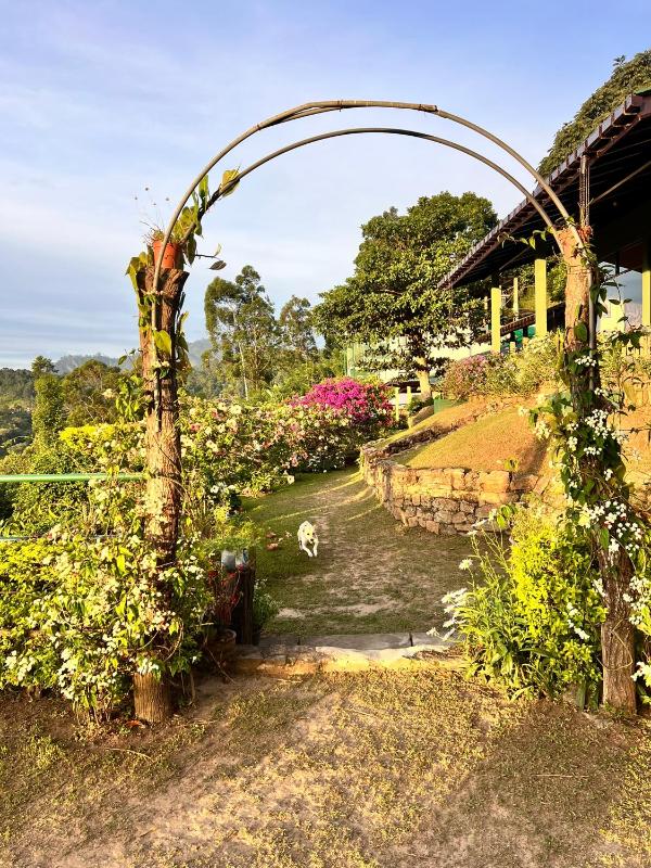 Ambiente Guest House - image 41