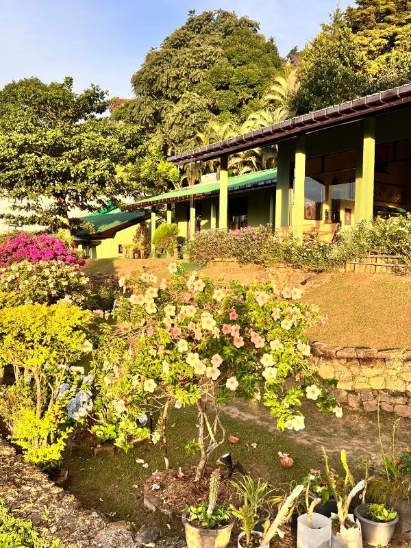 Ambiente Guest House - image 47
