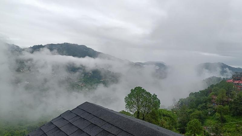 You and Me at Twin Oaks kasauli - image 8
