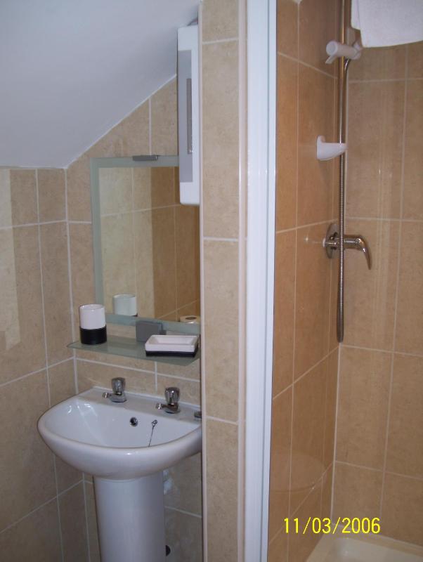 Single Room image 1