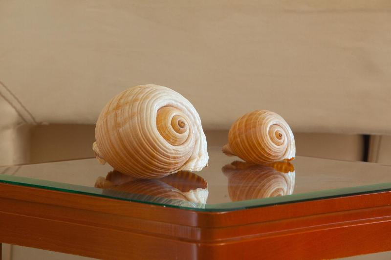 Pavlos Hotel - image 49