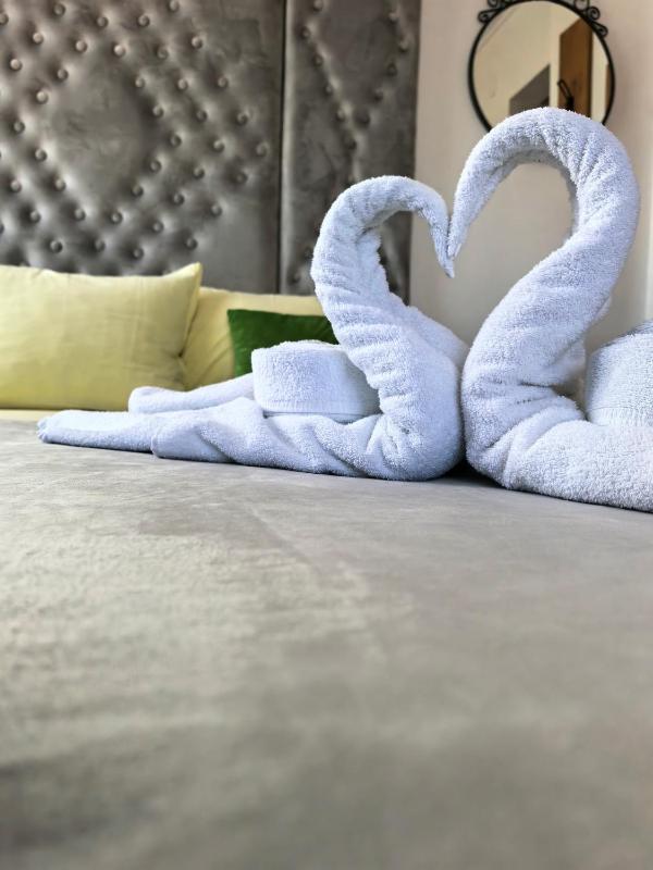 Double or Twin Room image 3