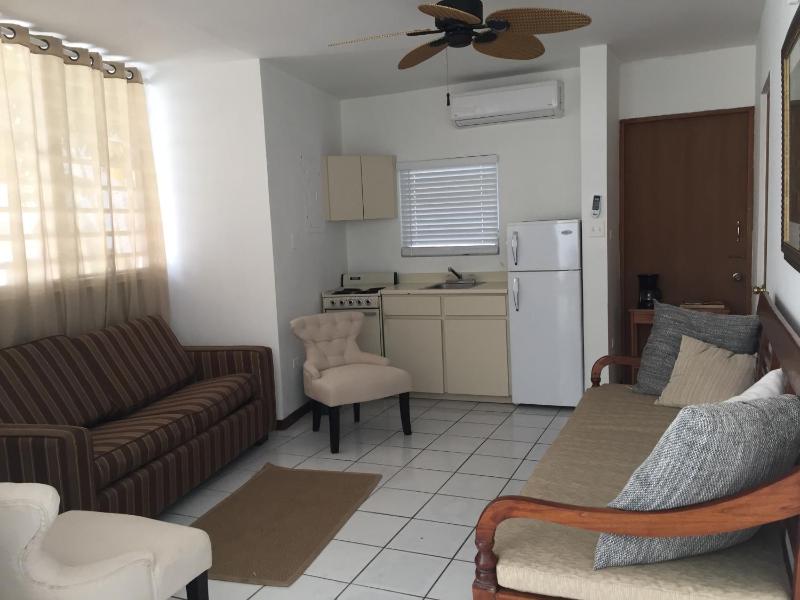 One-Bedroom Apartment image 3