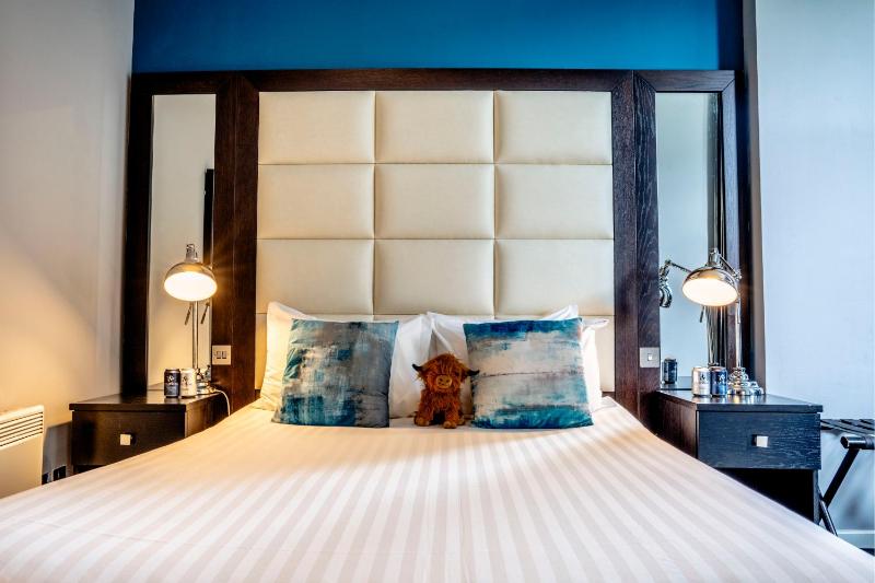 Standard Guest Room image 4