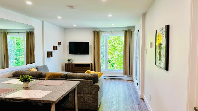 Swimming Pool Spa - Condo Mont Tremblant - image 22