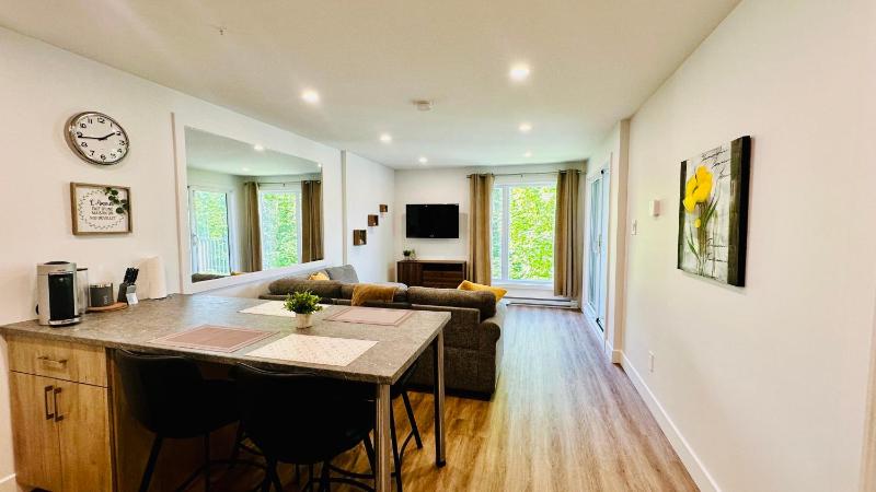 Swimming Pool Spa - Condo Mont Tremblant - image 11