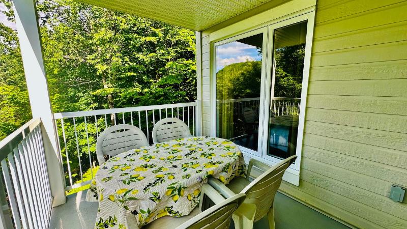 Swimming Pool Spa - Condo Mont Tremblant - image 25