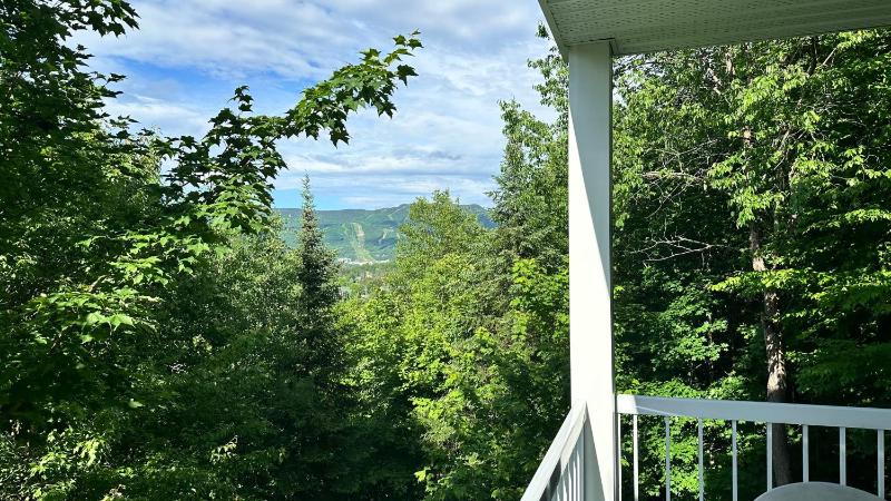 Swimming Pool Spa - Condo Mont Tremblant - image 8