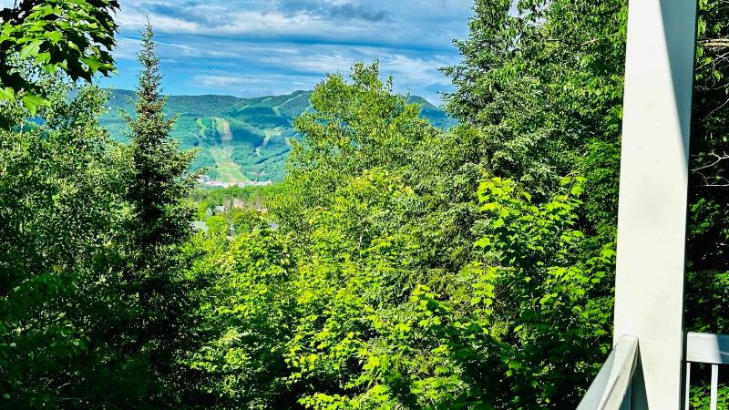 Swimming Pool Spa - Condo Mont Tremblant - image 17
