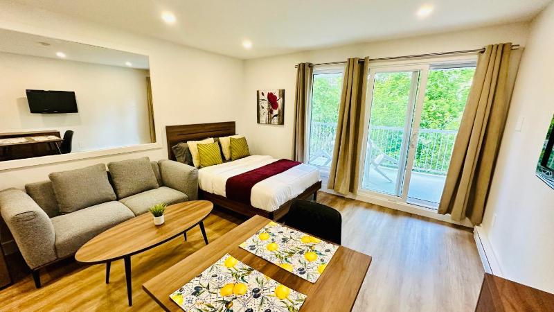Swimming Pool Spa - Condo Mont Tremblant 2 - image 1