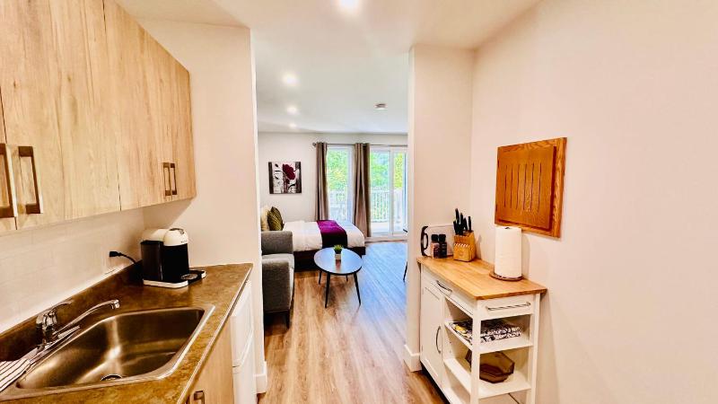 Swimming Pool Spa - Condo Mont Tremblant 2 - image 16