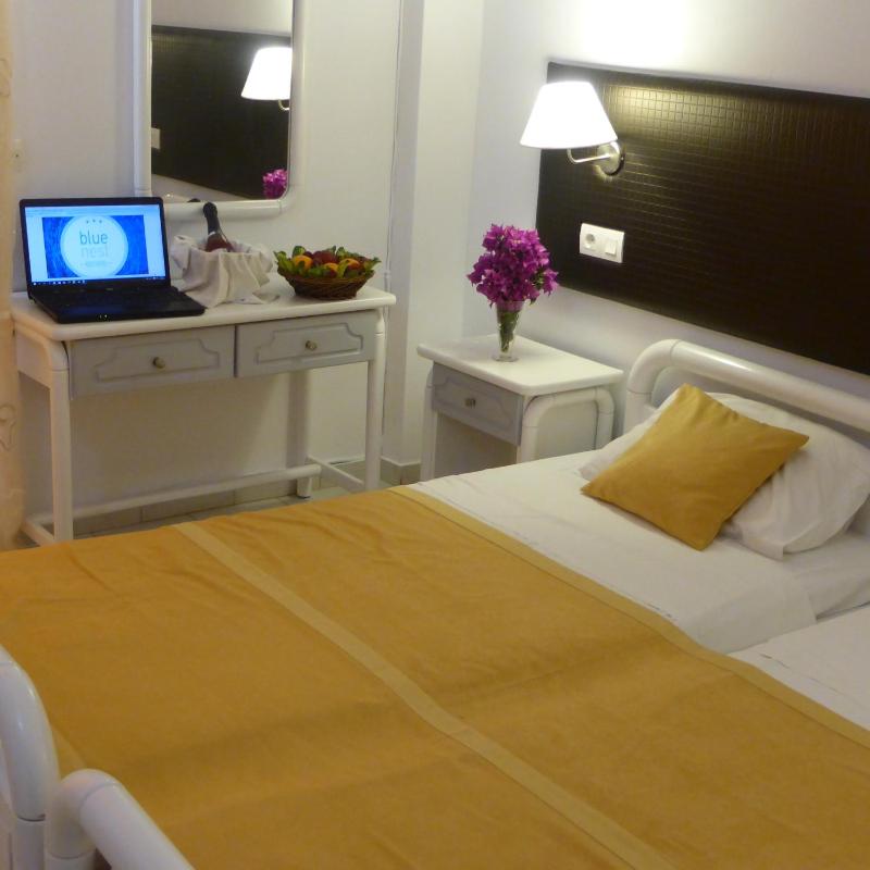 Standard Twin Room image 1