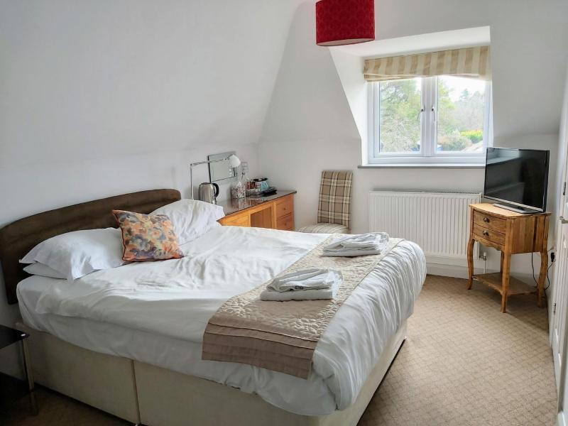 Deluxe Double Room image 1