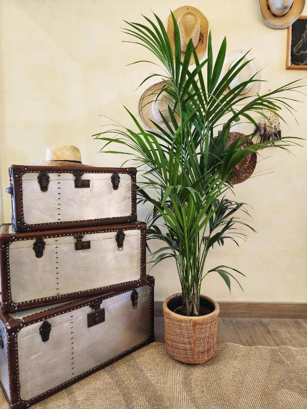 Hotel Bellariva - image 22