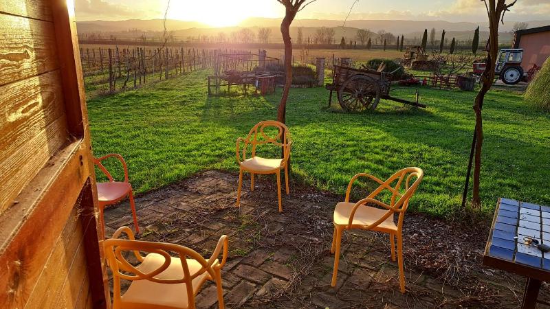 Apartment with Garden View image 4