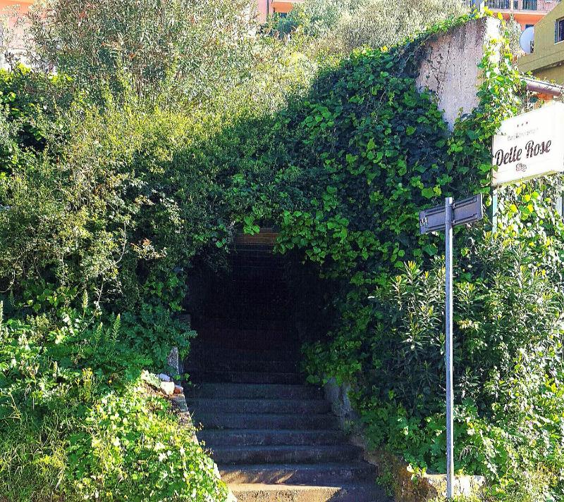 Delle Rose - image 8