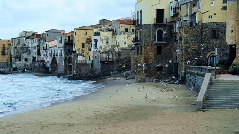 Delle Rose - image 18