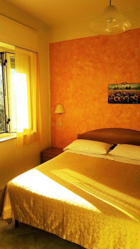 Delle Rose - image 37